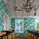 Frida's Beach House
