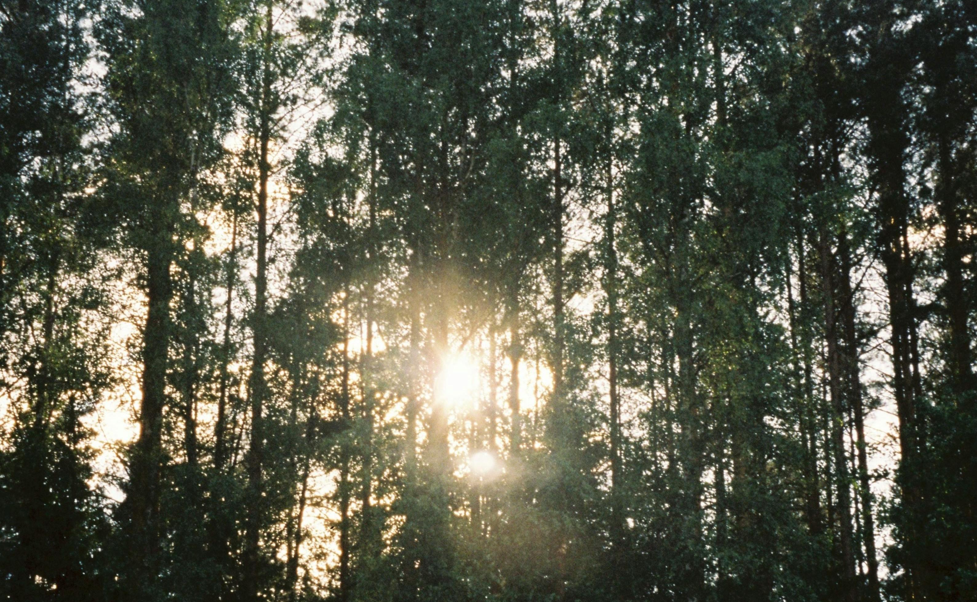 The Wedding Website of Emma Allen and Joe Miller