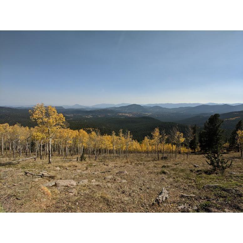 2020 - Meridian Trail, our favorite leaf-peeping hike!