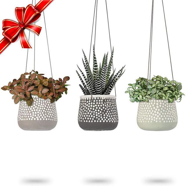 3 Pack Hanging Planter for Indoor Plants | White Concrete Pots | Round Air Succulent Holder Container | Cactus Pot with Rope Hanger | 23 Bees (3, Shades of Nature)