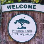 Pittsburgh Zoo & PPG Aquarium