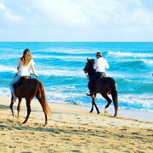 Honeymoon Fund: Horseback Riding on the Beach