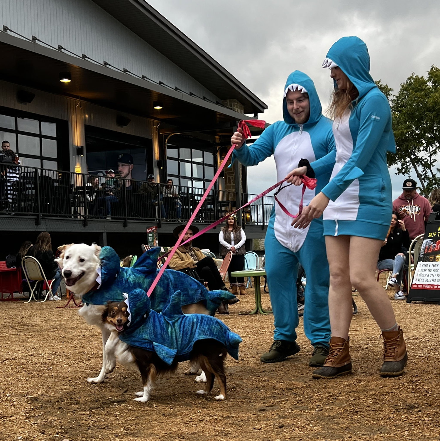 Our family dressed up as sharks for Halloween. Dogs: Sadie and Freya