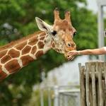 Zoo Miami