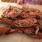 L.P. Steamers