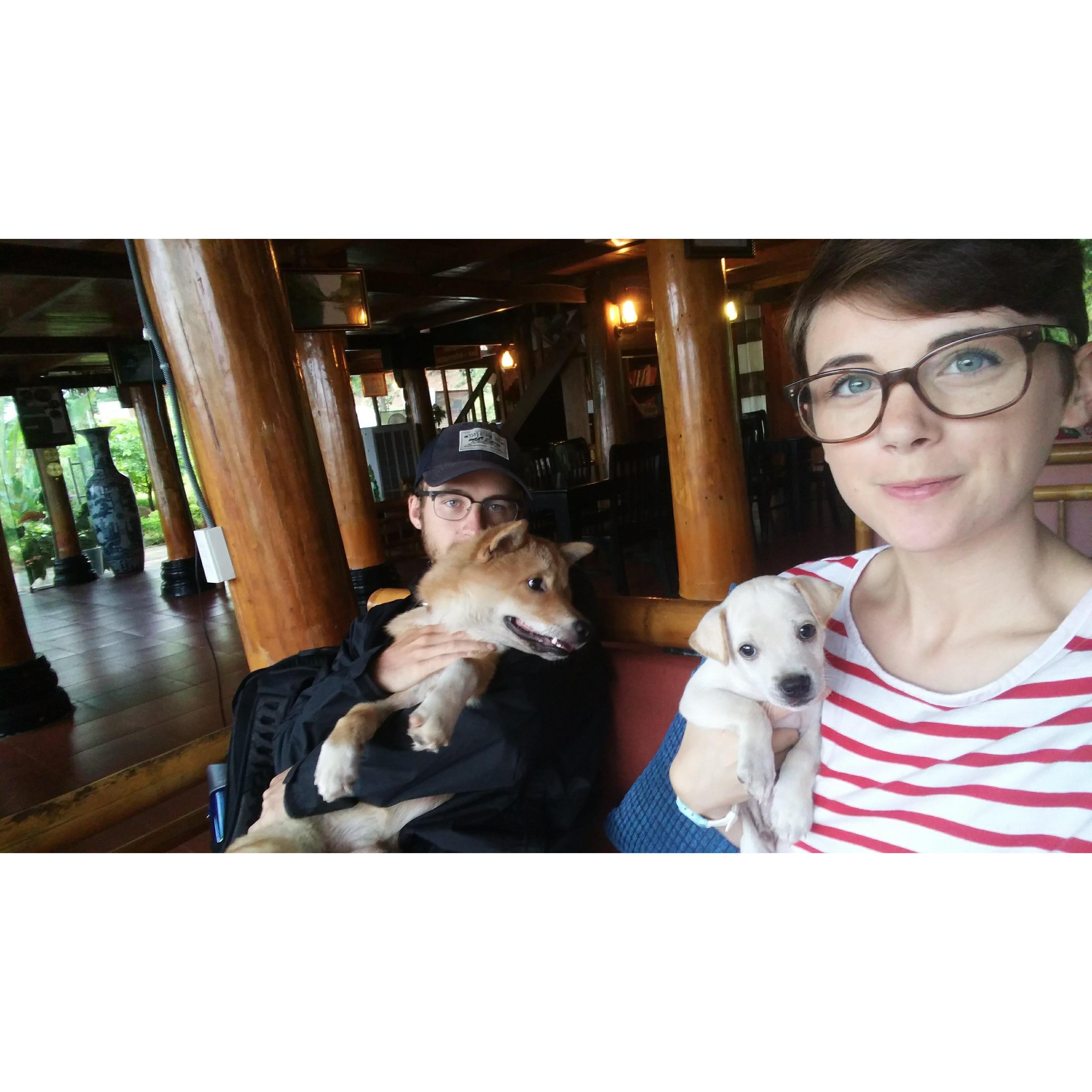 our favorite Vietnamese doggos: Milo and Otis //
phong nha-kẻ bàng, vietnam // 07.17