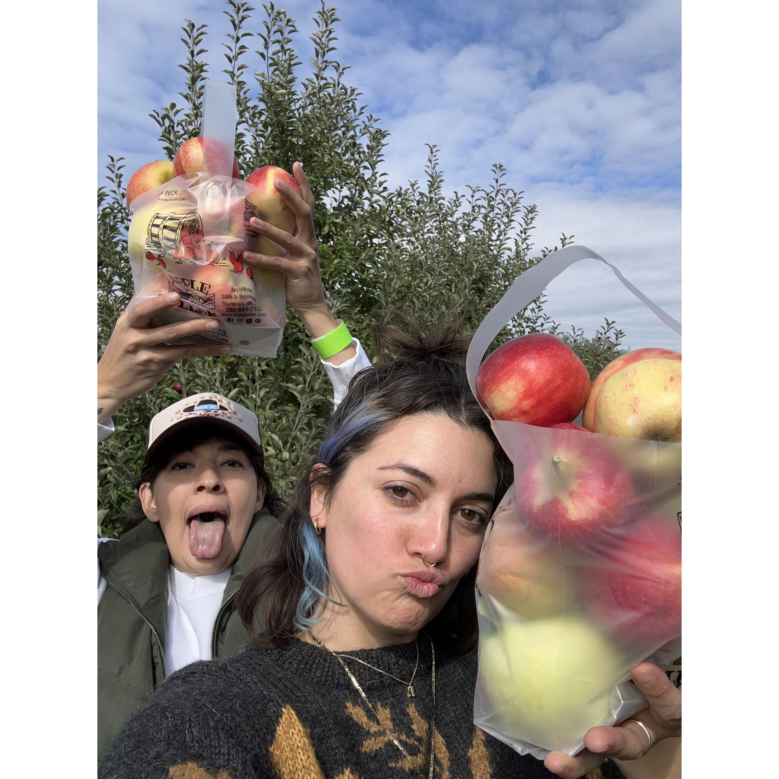 First time apple picking, 2023
