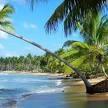 Playa Cosón