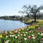 City Park