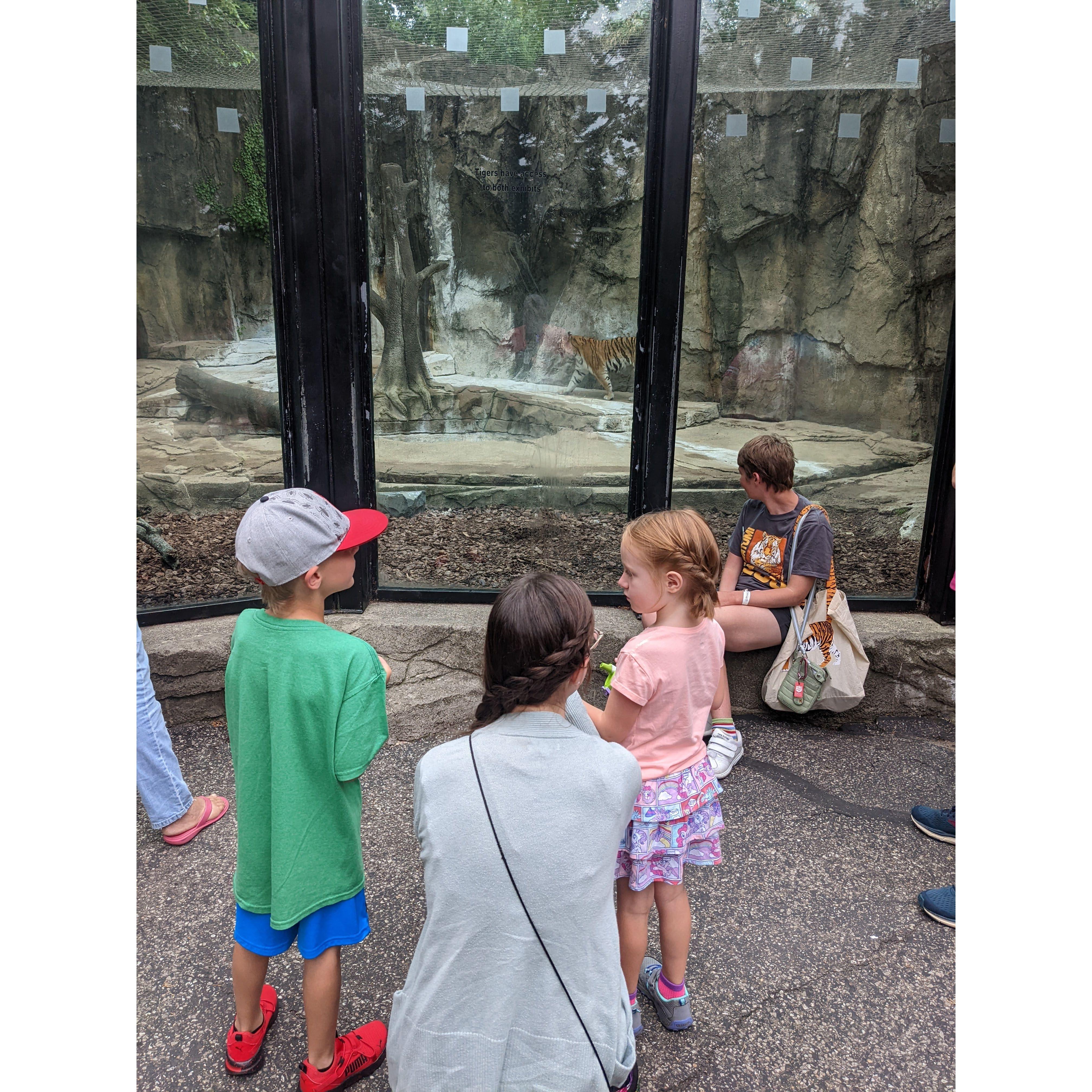 Going to the zoo with Steve's niece and nephew!
