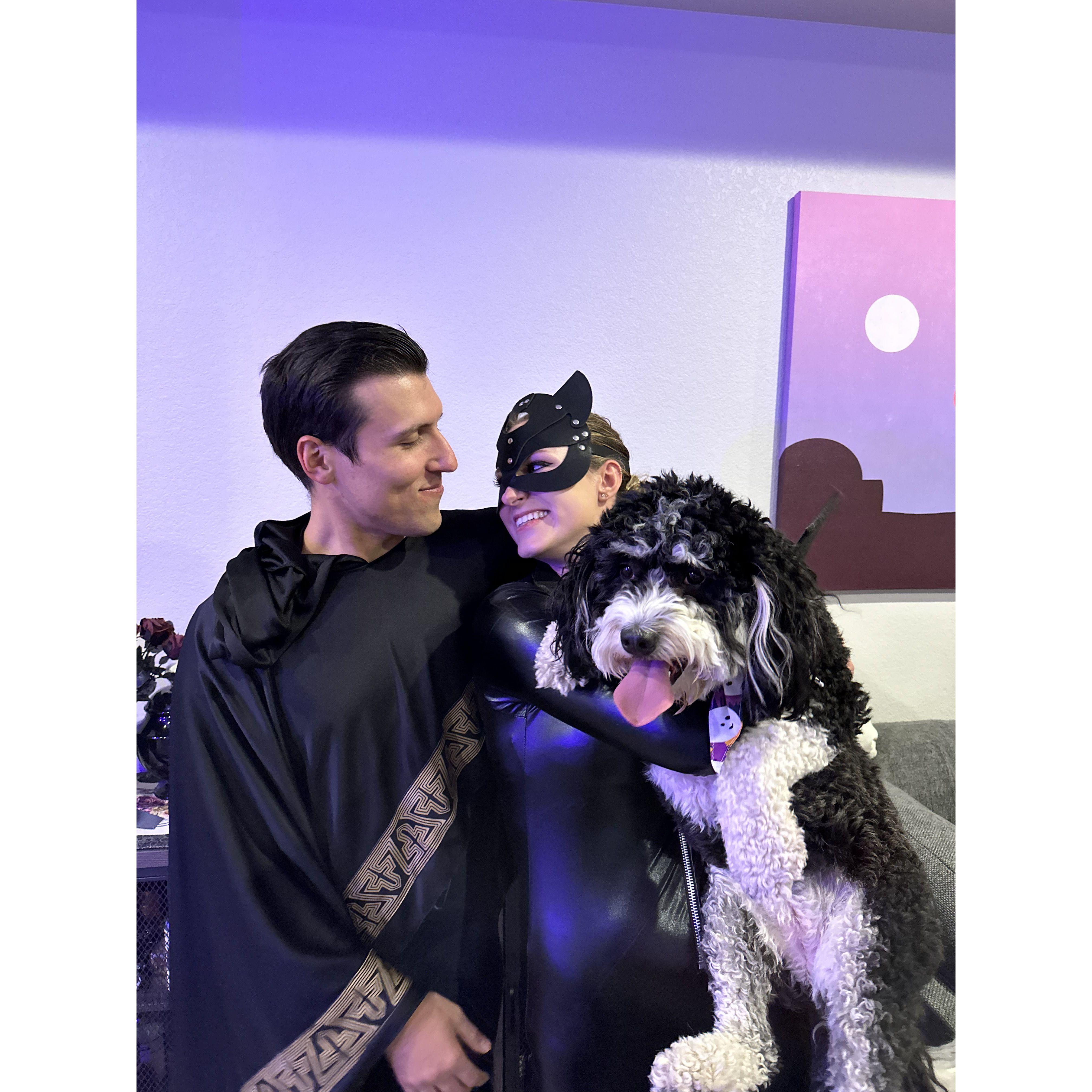 Black Adam, Catwoman, and BatMoose for our 2022 Halloween Housewarming!
