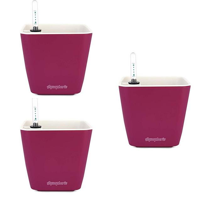 Window Garden Aquaphoric Self Watering Planter (5”) + Fiber Soil = Foolproof Indoor Home Garden. Decorative Planter Pot for All Plants, Flowers, Herbs (Wine Matte - Set of 3)