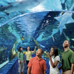 Ripley's Aquarium of the Smokies