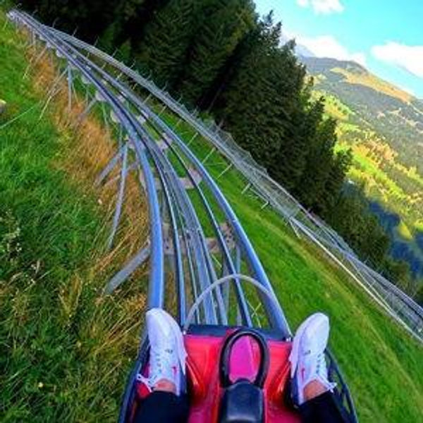 Mountain Coaster Ride