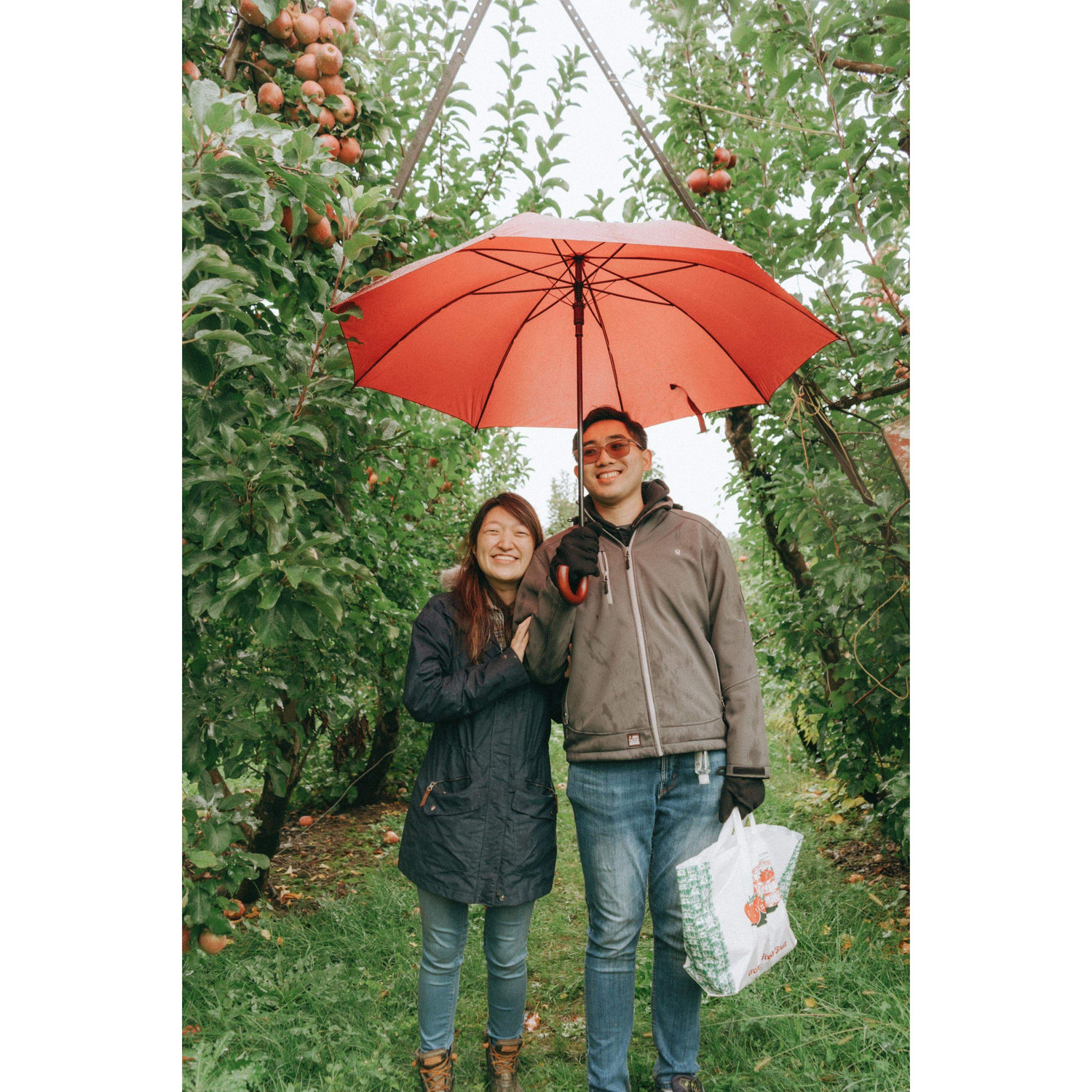 Fall apple picking in '23