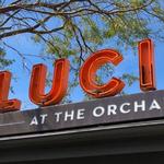 Luci's at the Orchard
