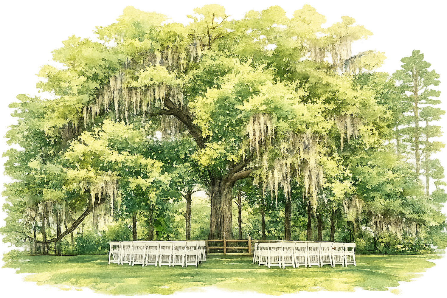 The Wedding Website of Abigail Hilliard and Andrew Bunson