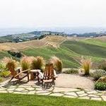 DAOU Family Estates