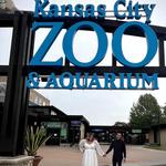 Kansas City Zoo & Aquarium