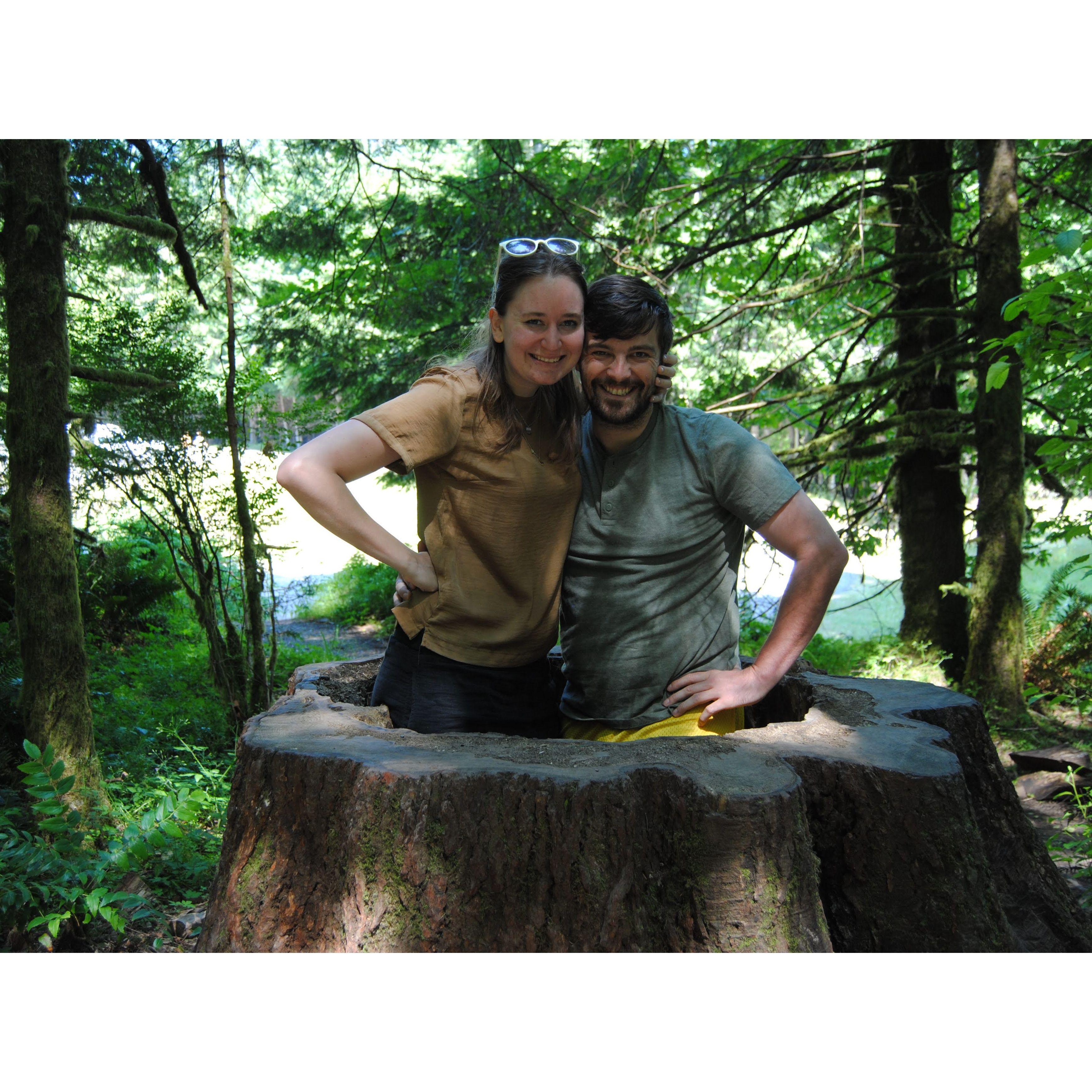 Olympic National Forest