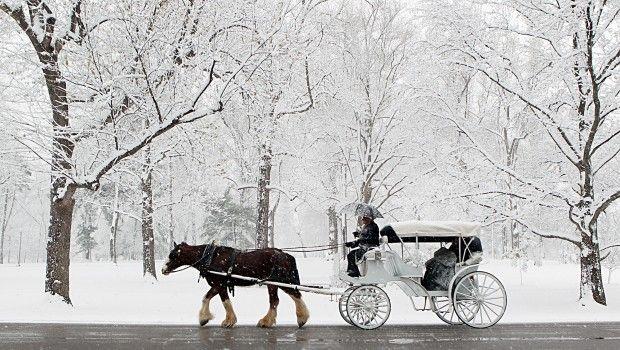 The Wedding Website of Reina Morales and Justice Vick