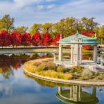 Forest Park