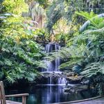 Marie Selby Botanical Gardens
