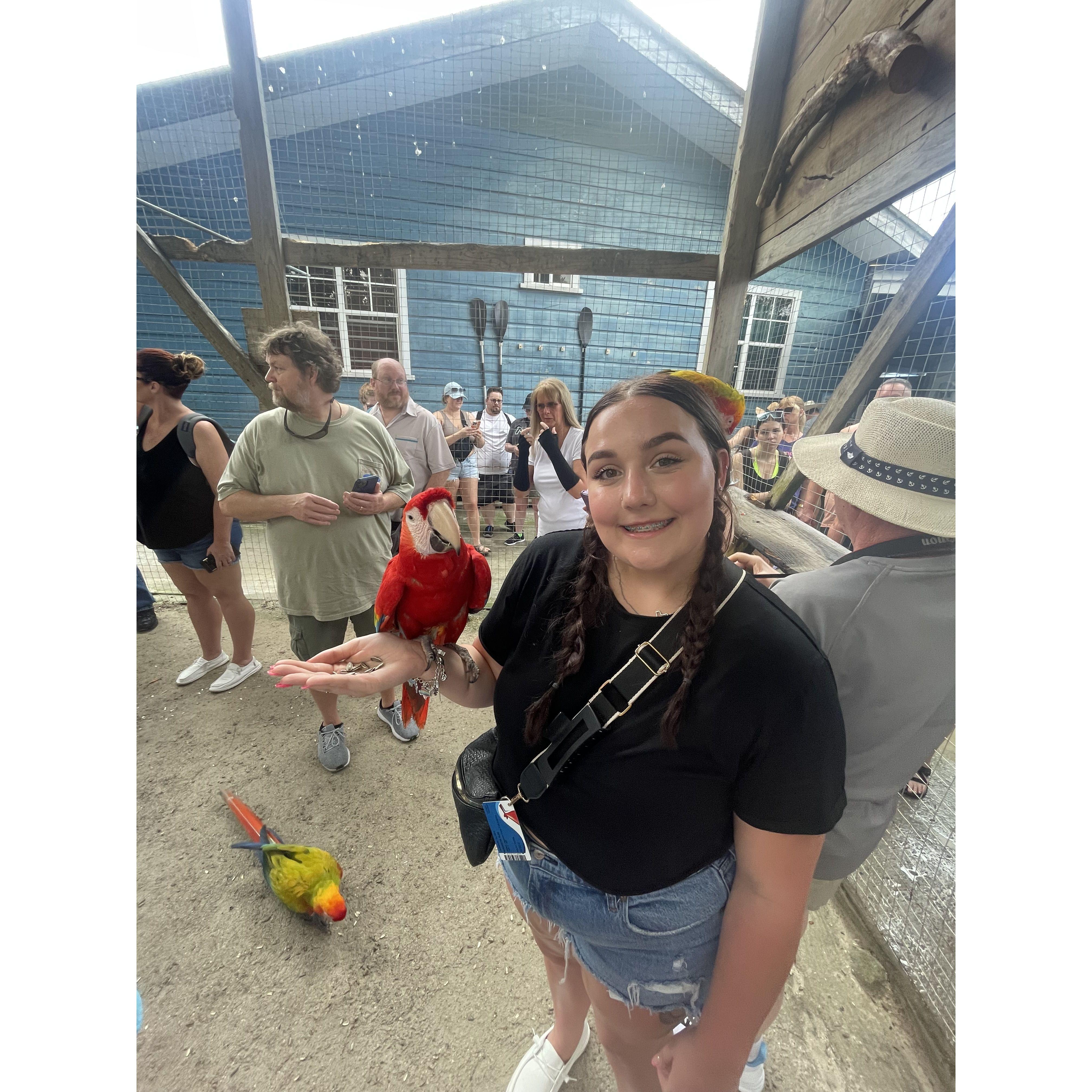 Maddie taking a picture with a macaw in Roatan