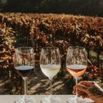 Sonoma Valley