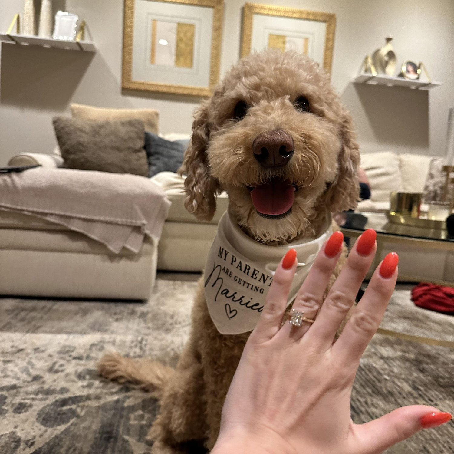 Our Ruger was very excited to have his parents home, ready to help plan!