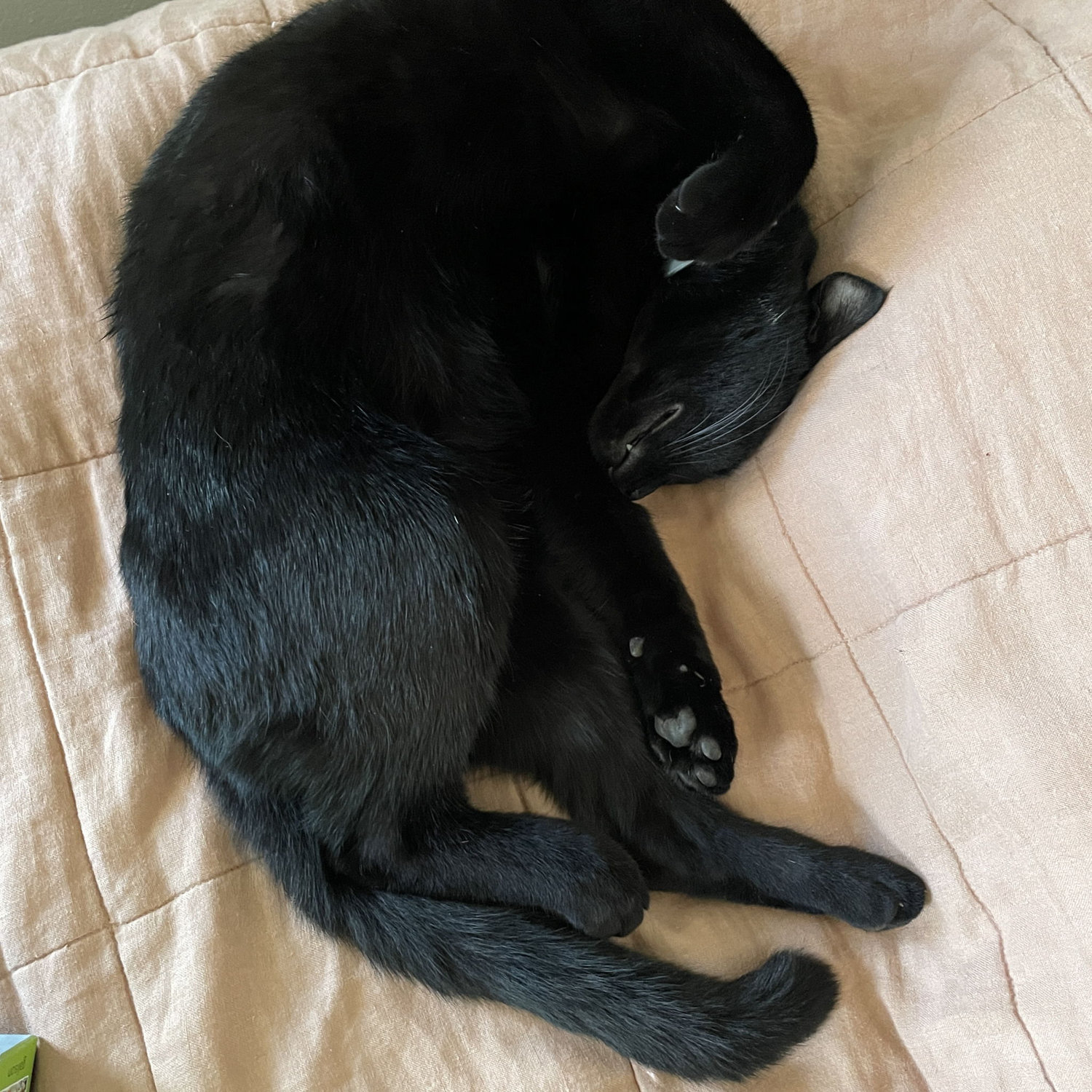 She must dream the best dreams
