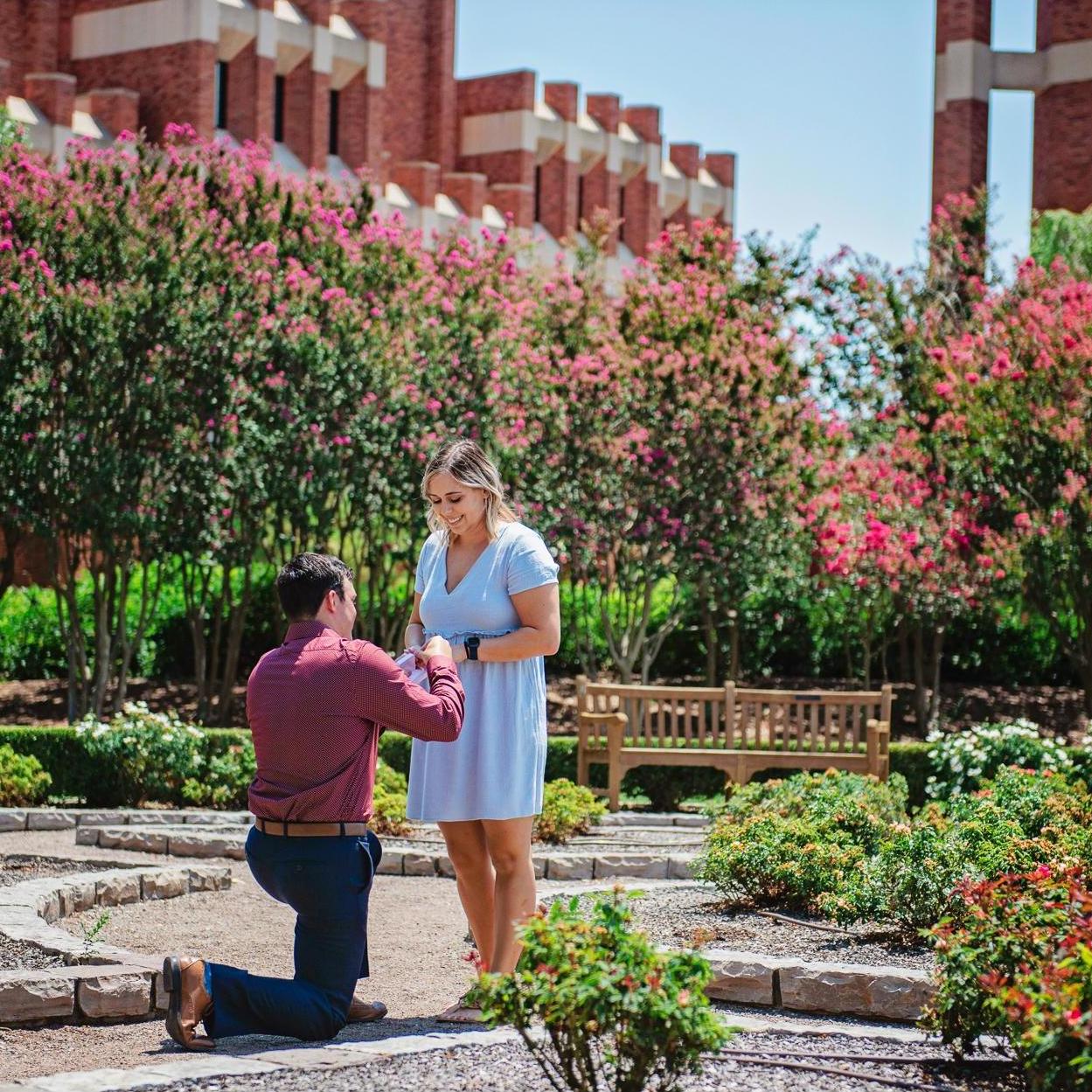THE PROPOSAL