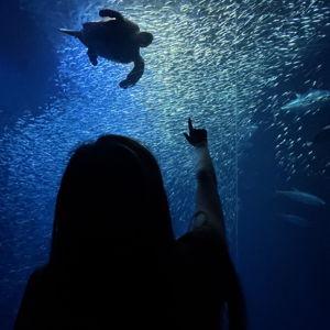 Monterey Bay Aquarium - Venmo