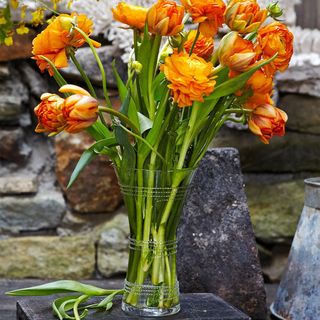 Ella Medium Corset Vase