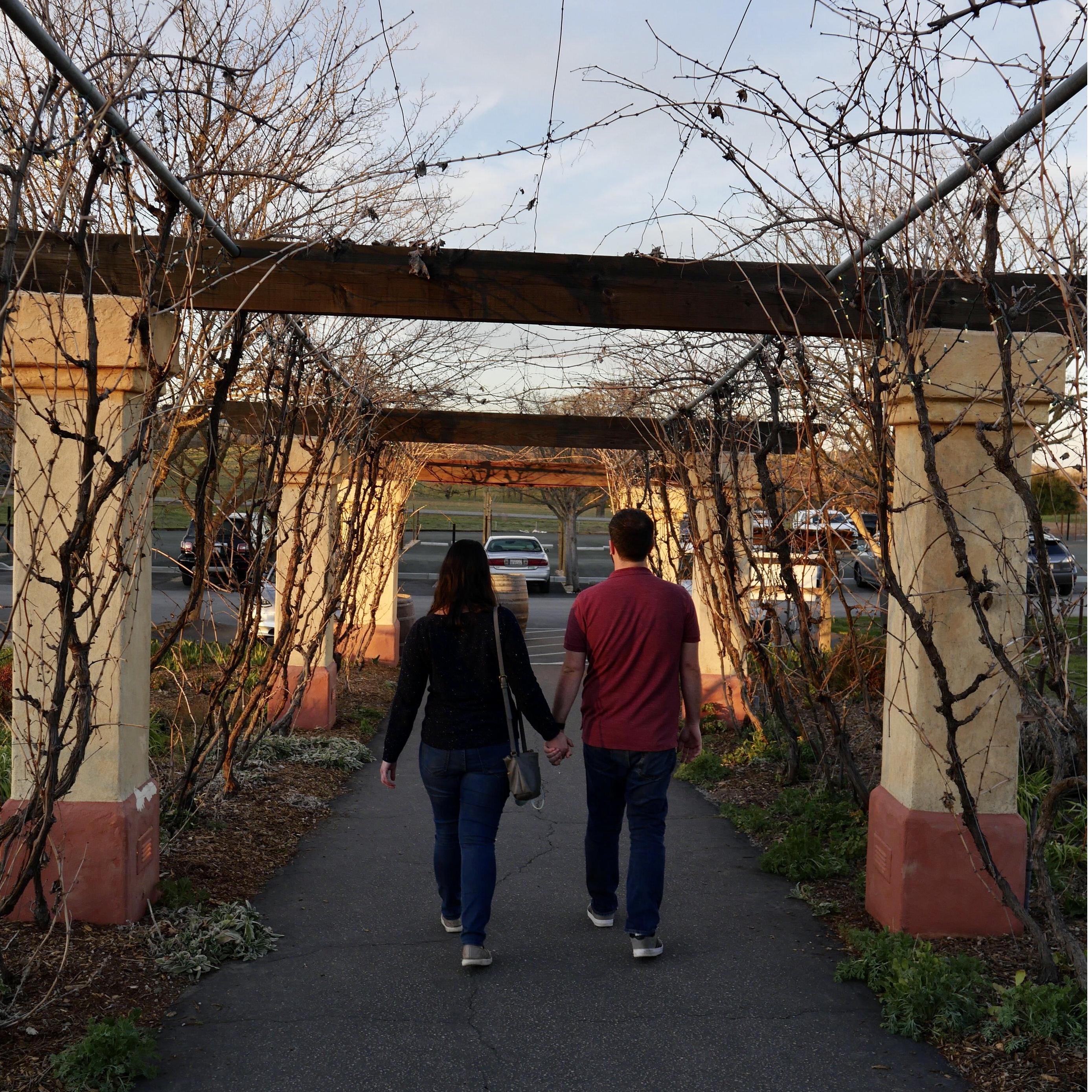 A trip to the vineyard...