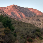 Hiking! Shelf Road Trail