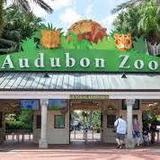 Audubon Zoo