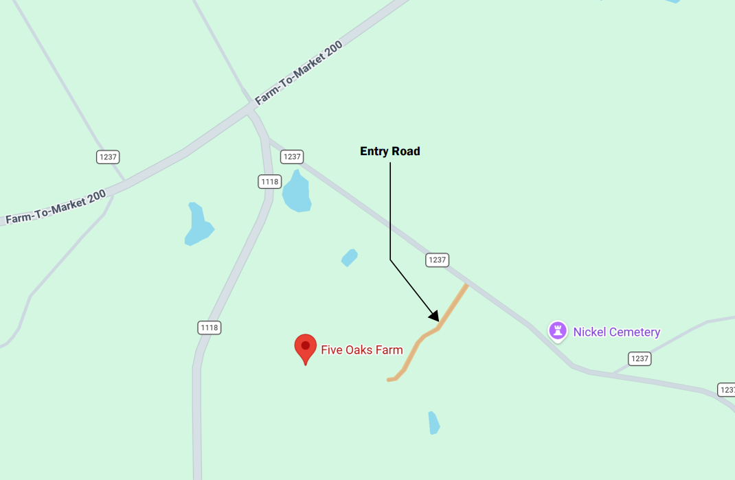 The Wedding Website of Cassidy Scott and Thomas Kuykendall