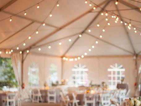 The Wedding Website of Sarah Gonzalez and Orlando Bolano