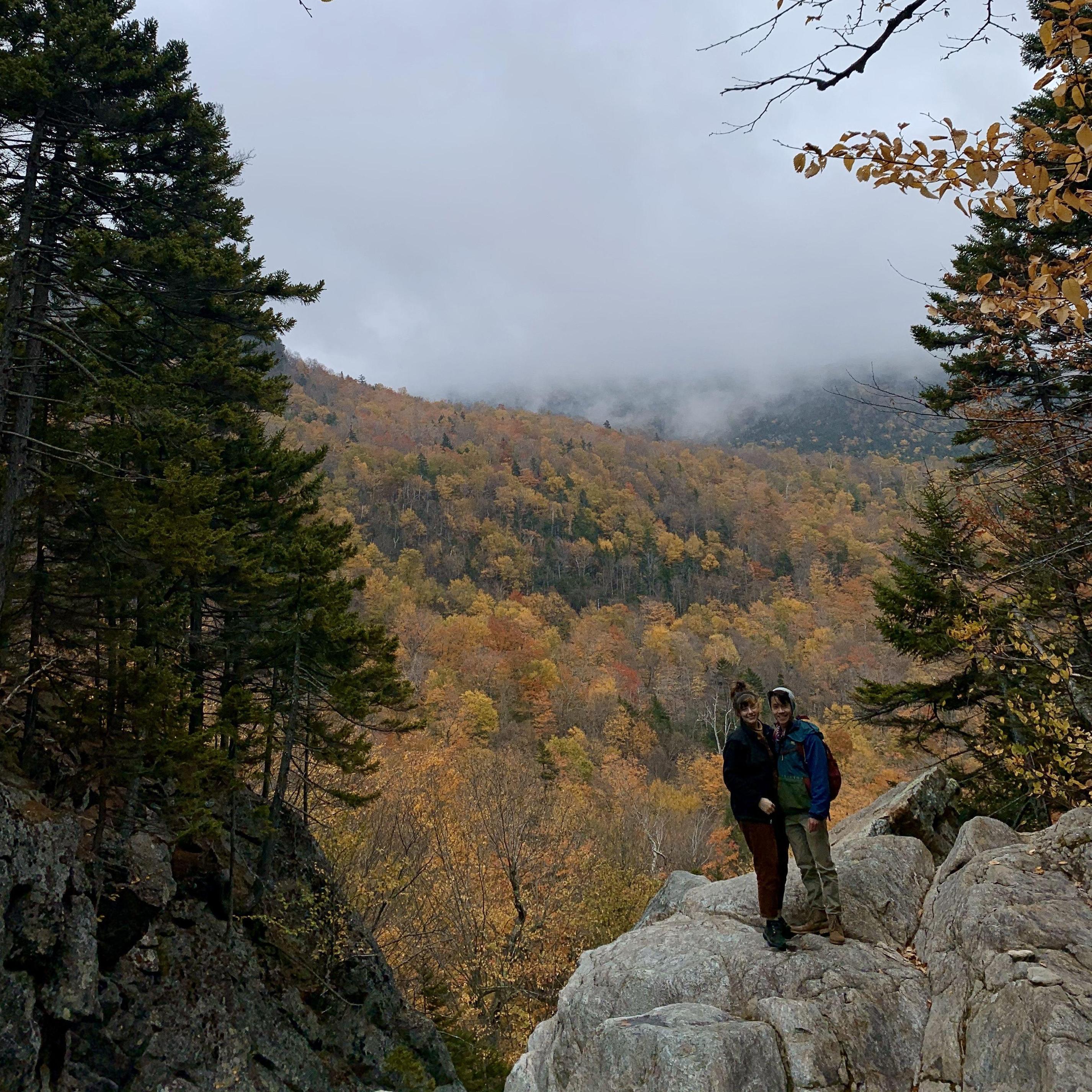 Braving the wilderness