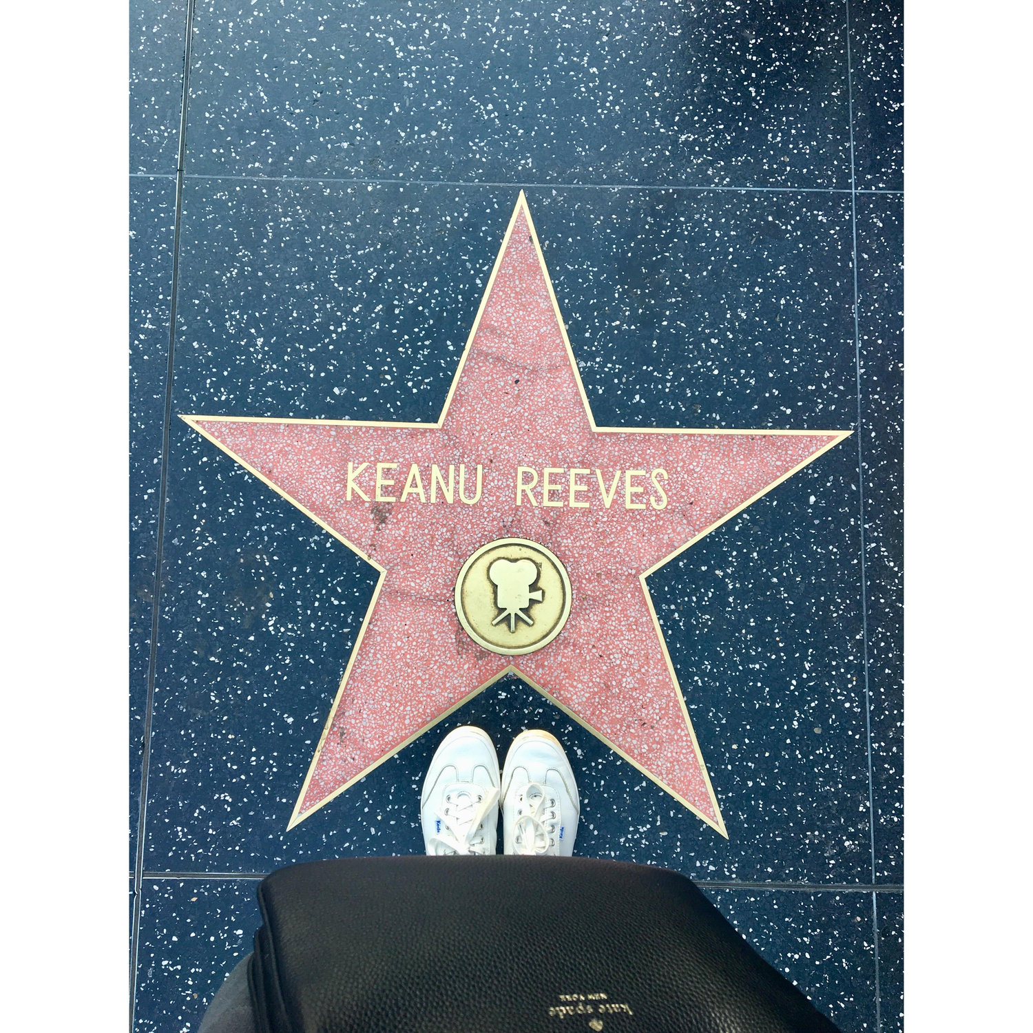 Hollywood Walk of Fame, Los Angeles, California, 2019