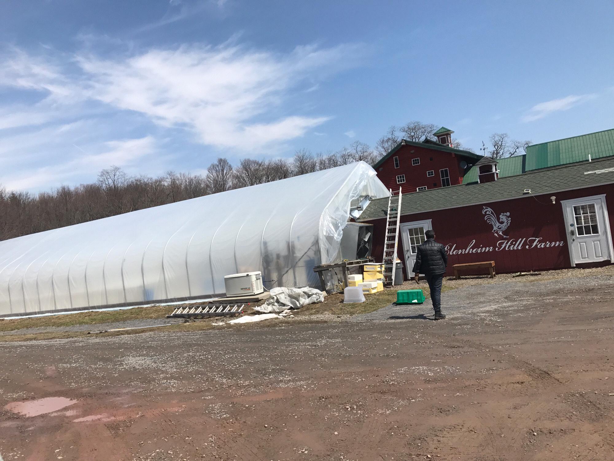 Blenheim Hill Farm, winter 2018, greenhouse prep