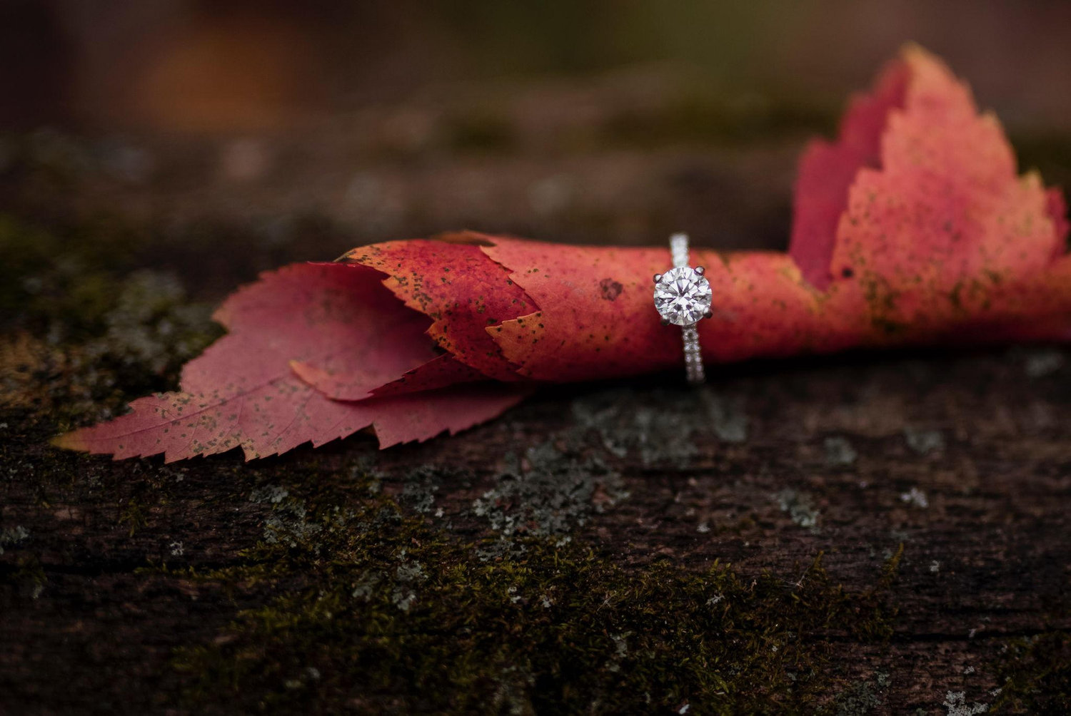 The Wedding Website of Aly Marshall and Tyler Fehringer