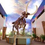 The Bishop Museum of Science and Nature