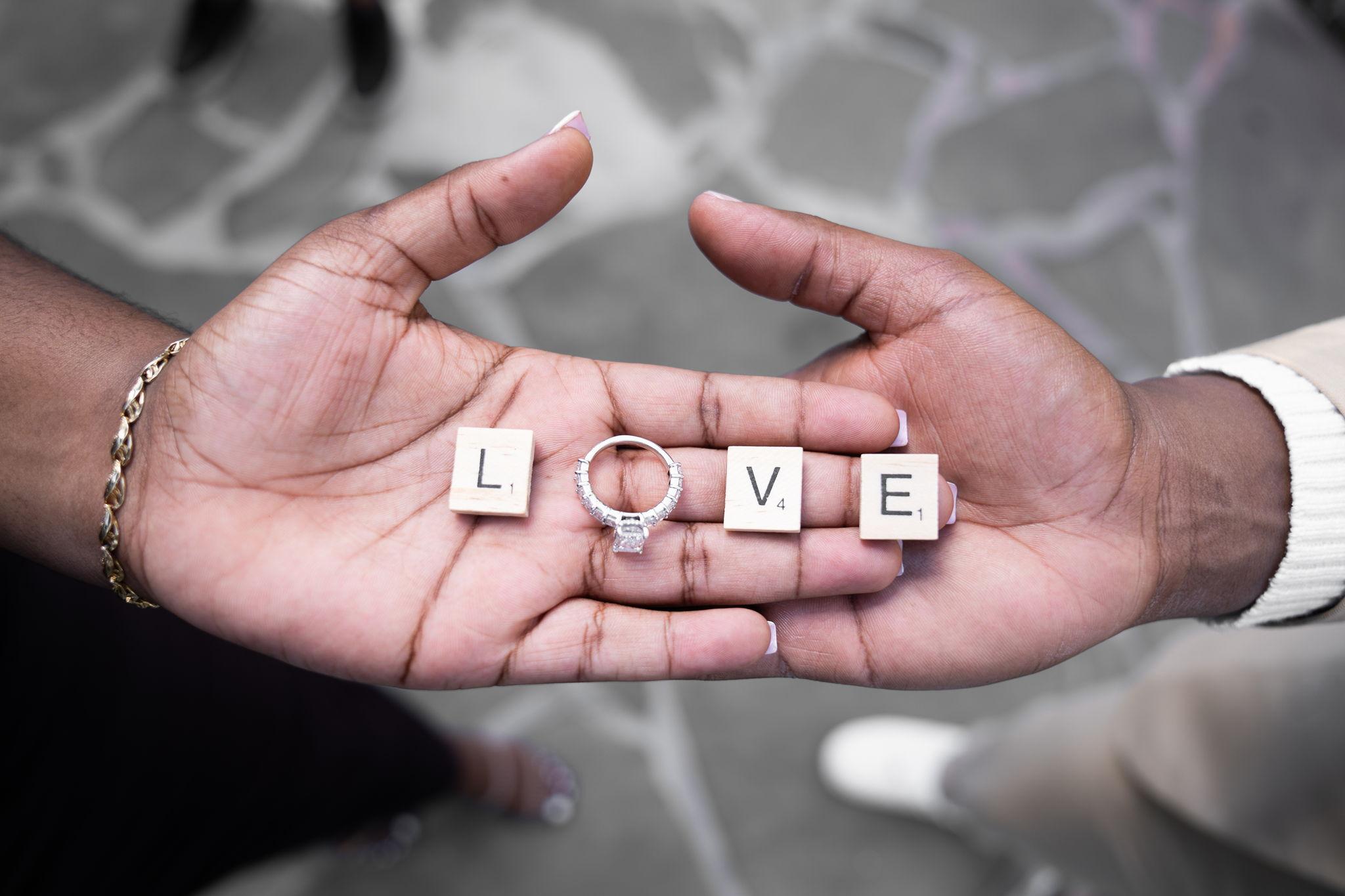 The Wedding Website of Stephen Lewis and Meisha Thompson