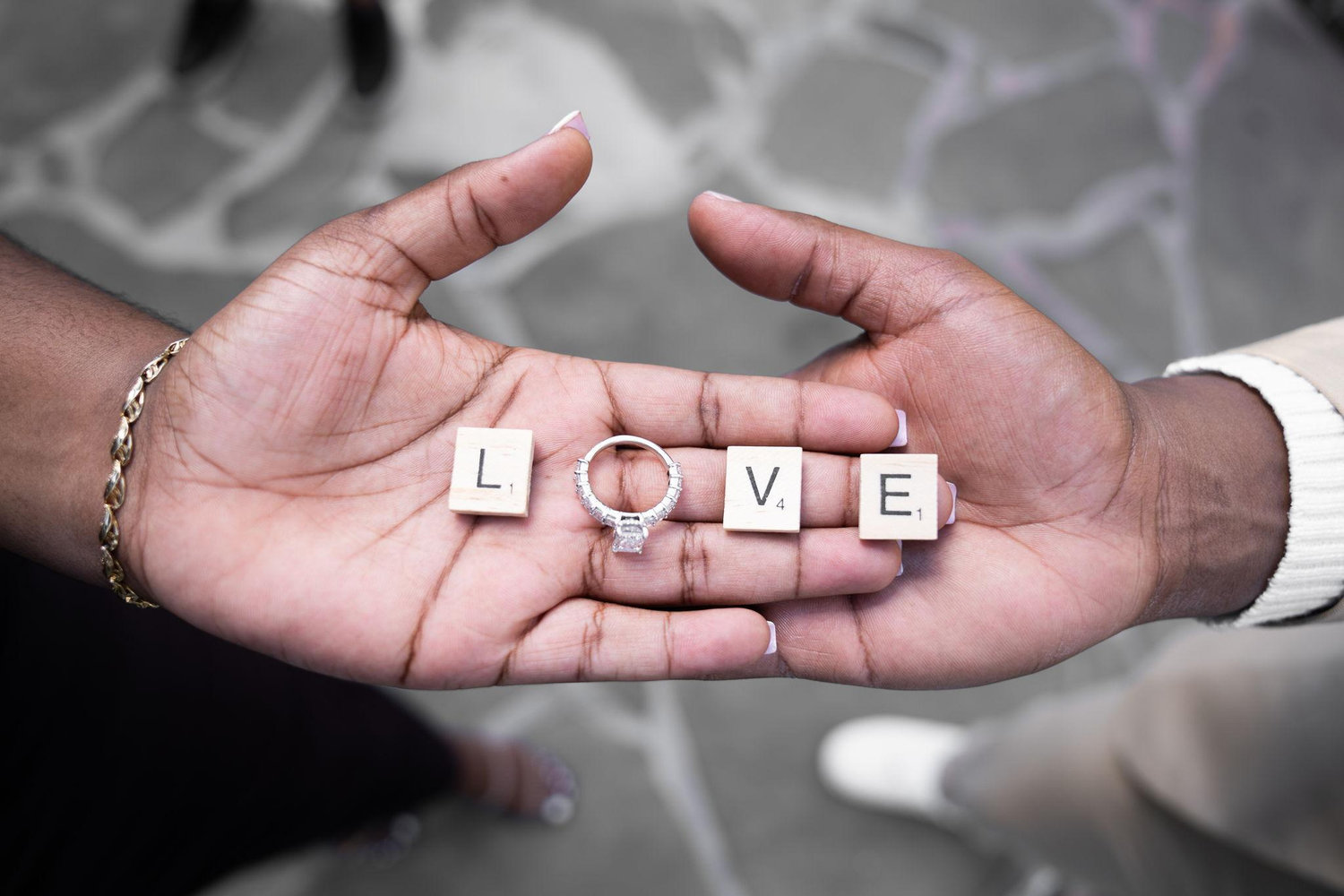 The Wedding Website of Stephen Lewis and Meisha Thompson