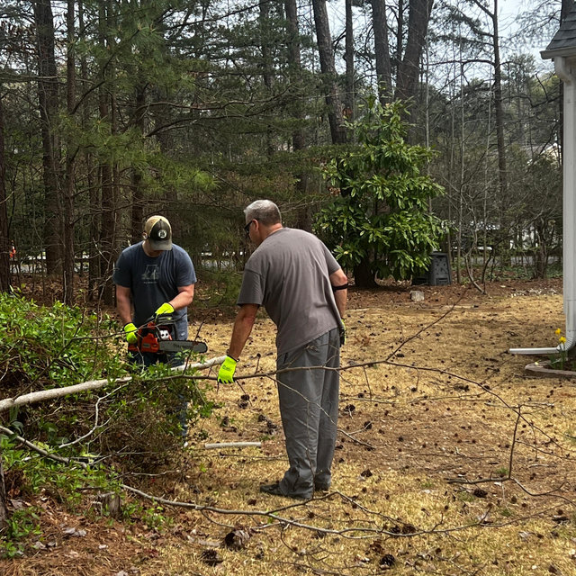 Tree Removal/Landscaping Service