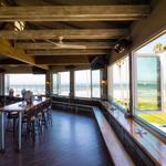 Wonderland Ocean Pub