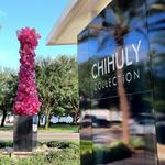 Chihuly Collection