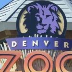 Denver Zoo